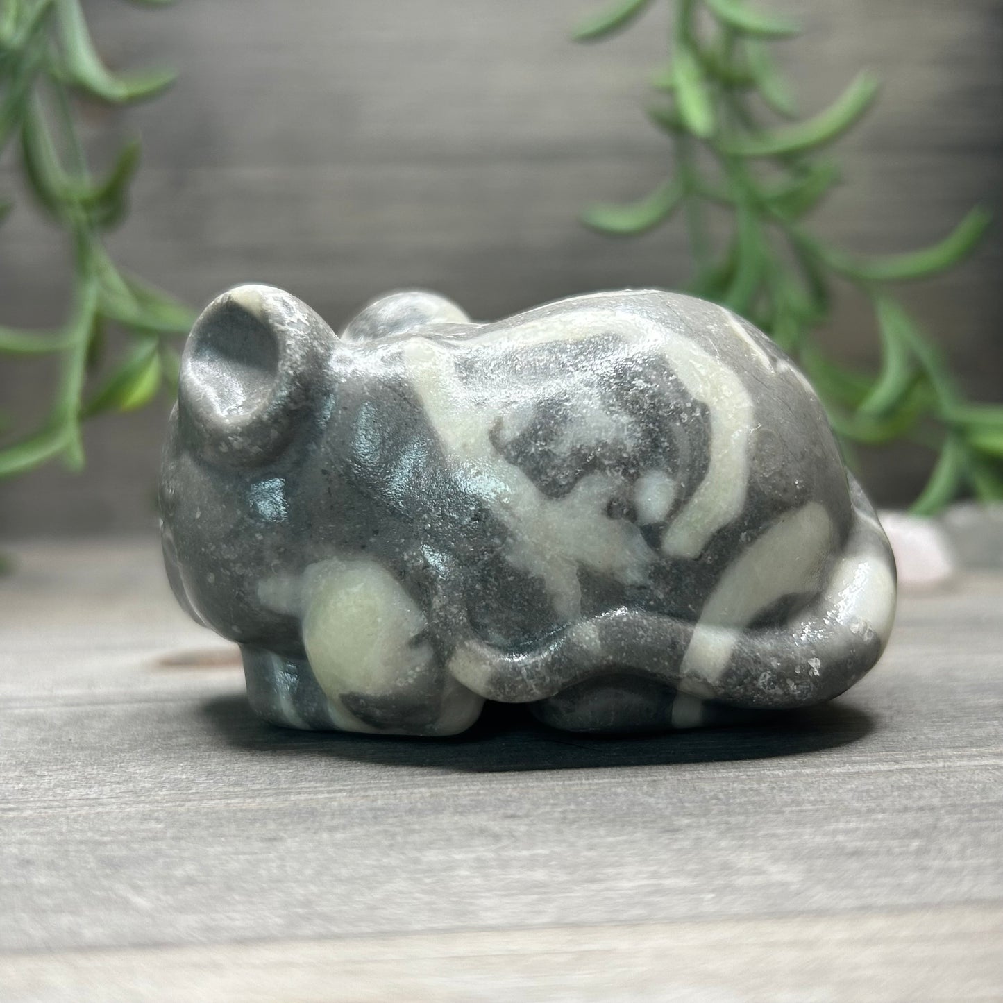 thousand eye jasper mouse