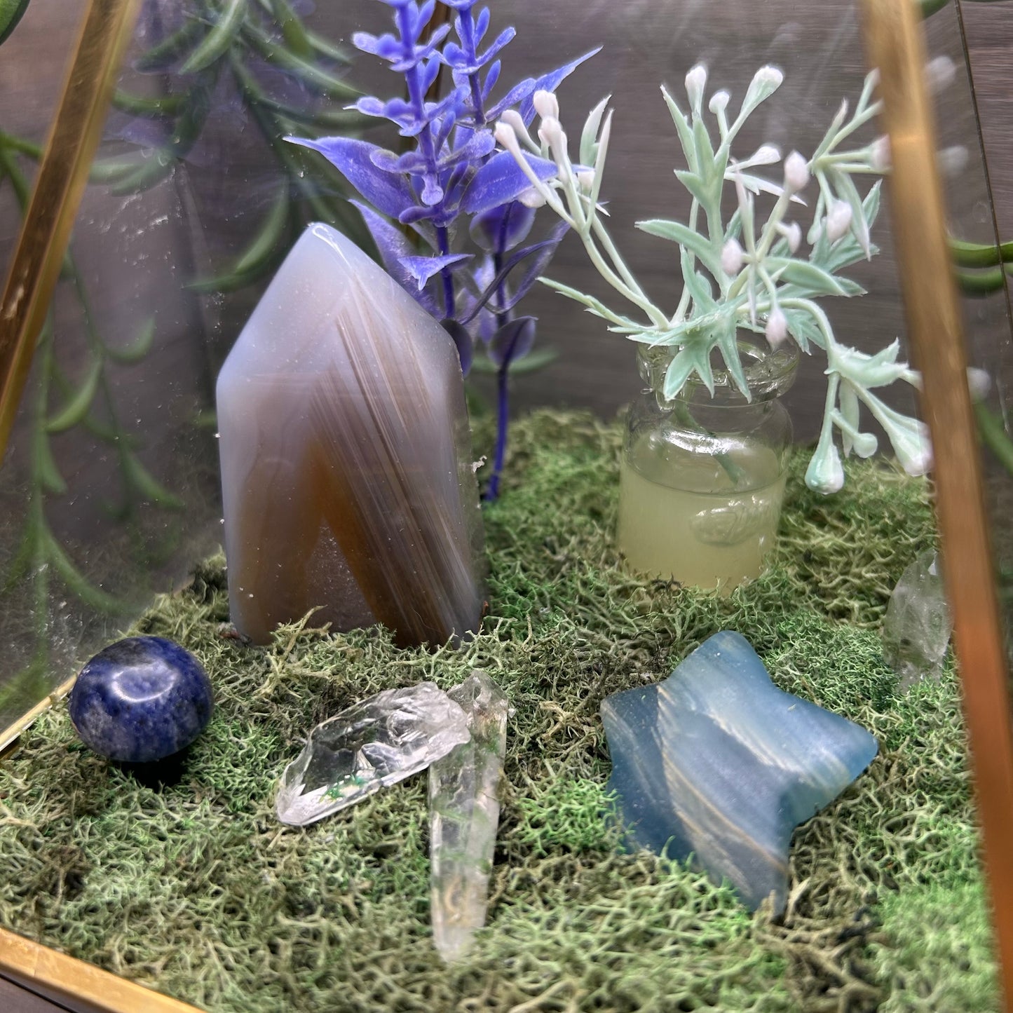 agate+blue onyx terrarium