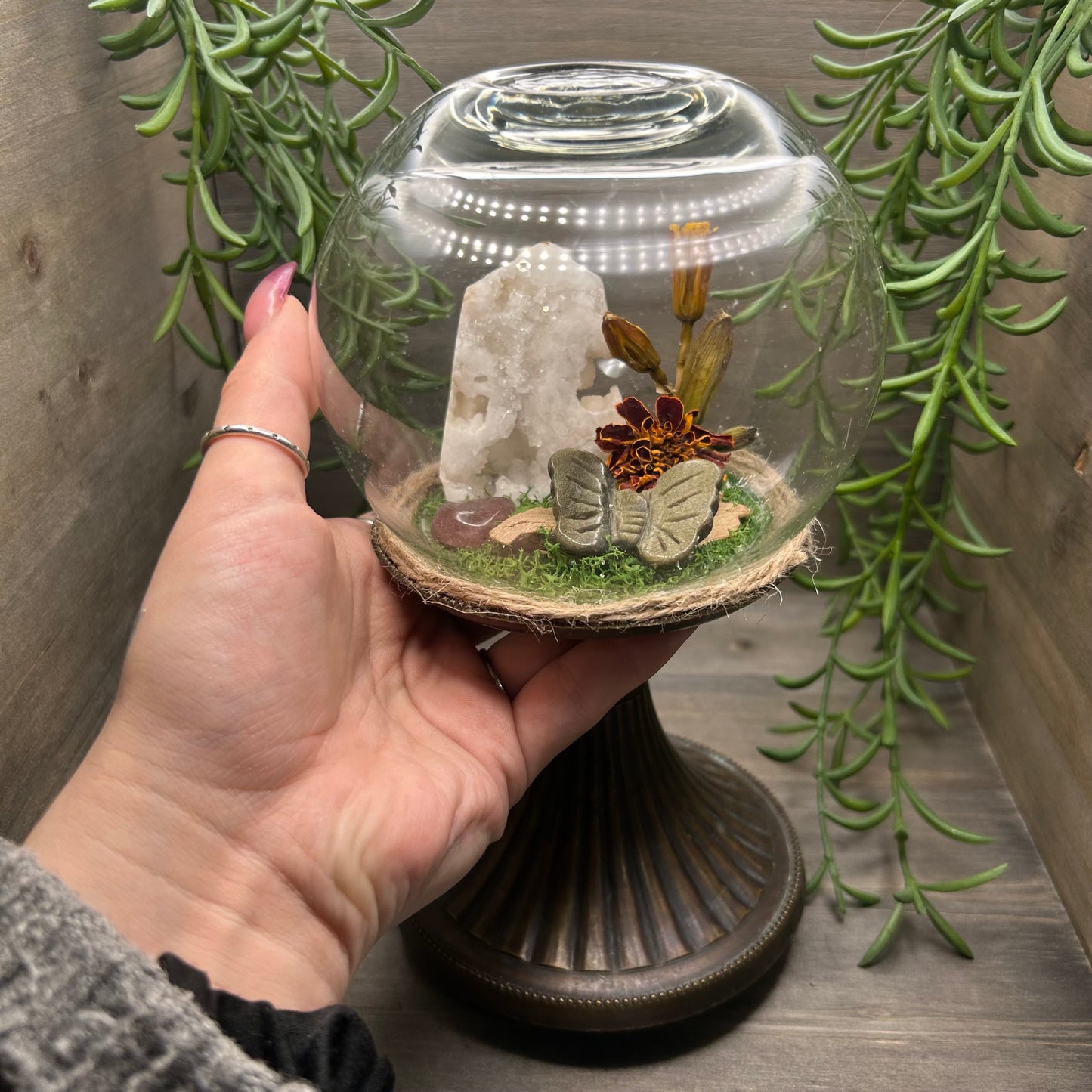 druzy agate terrarium