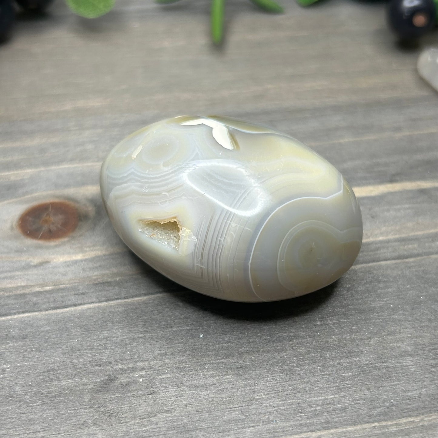 orca agate palm stone