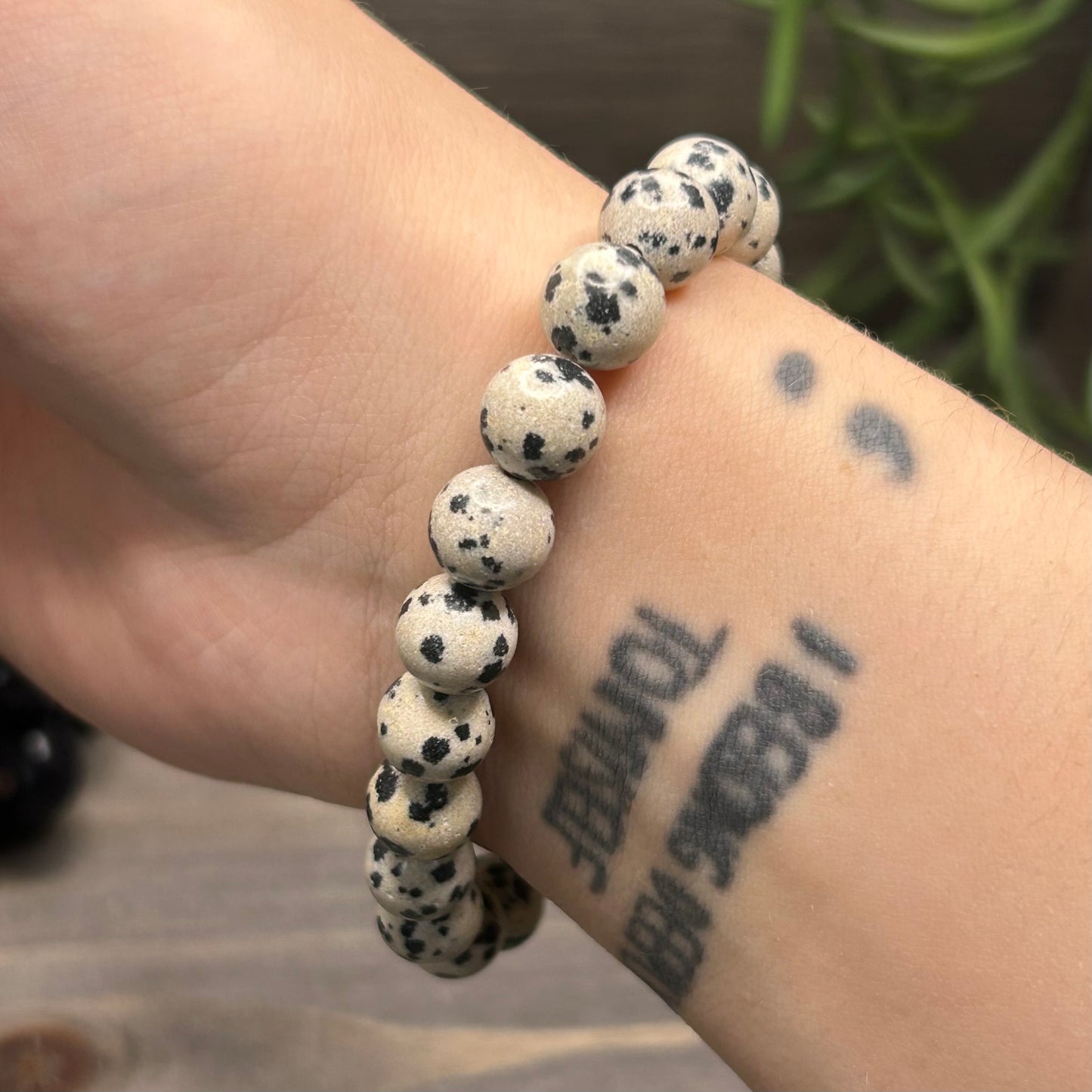 dalmatian jasper bracelet