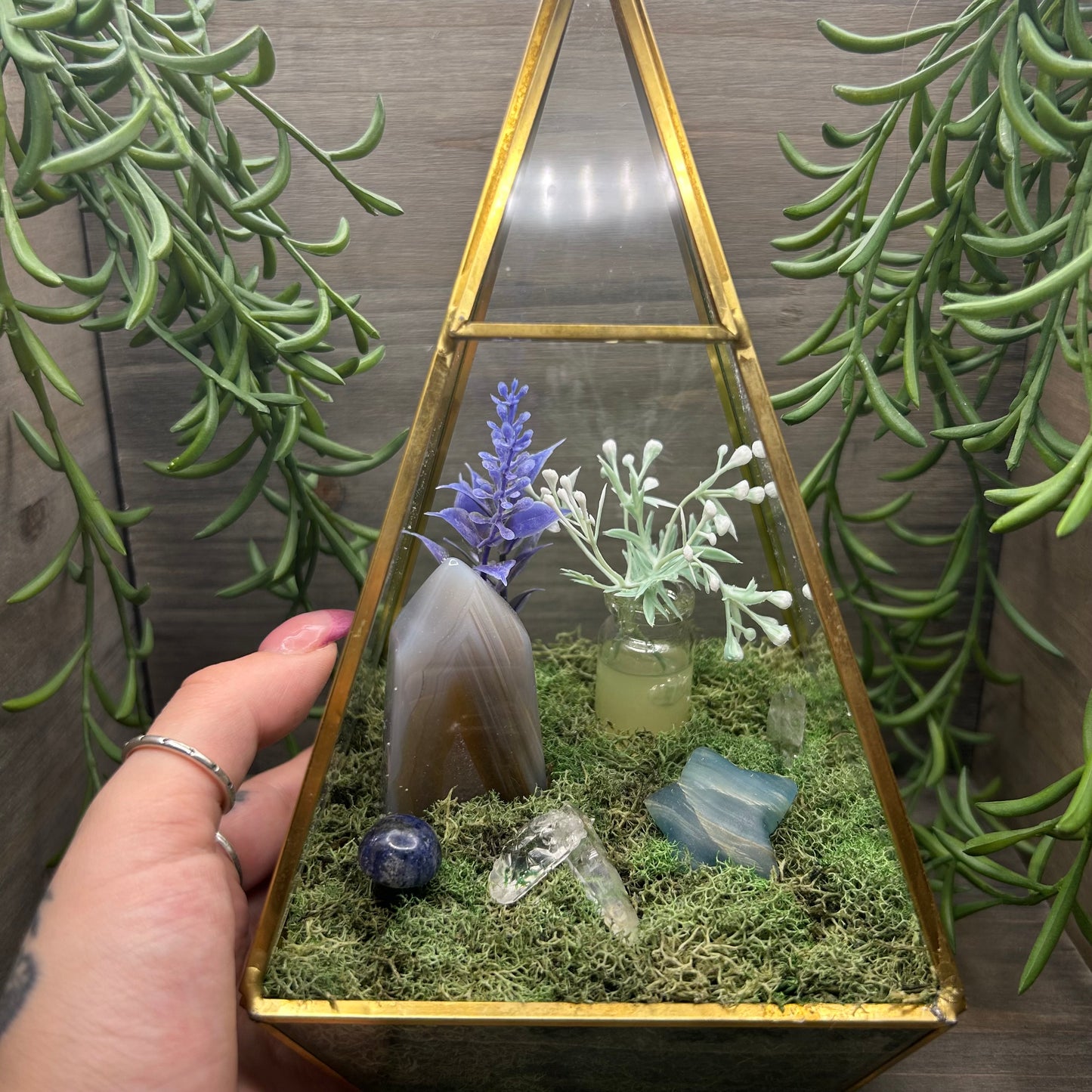 agate+blue onyx terrarium