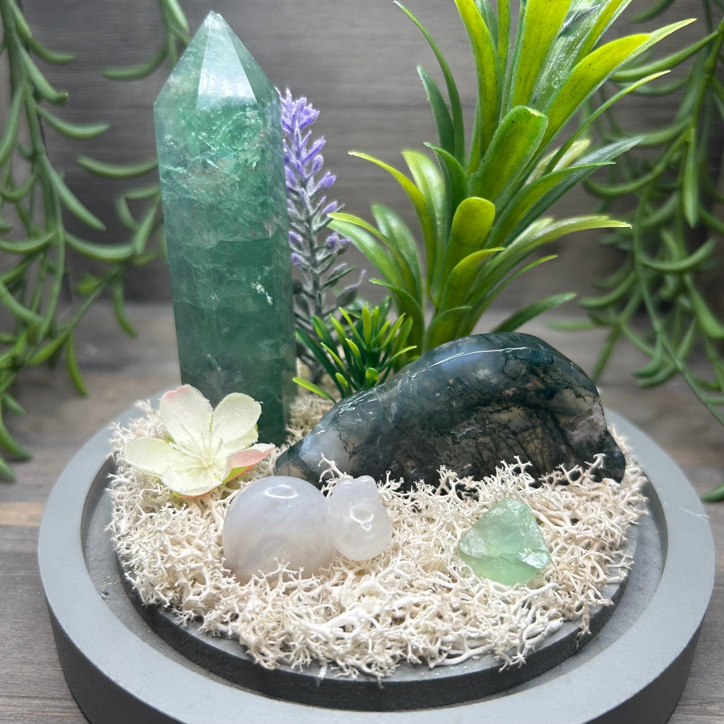 fluorite+moss agate terrarium