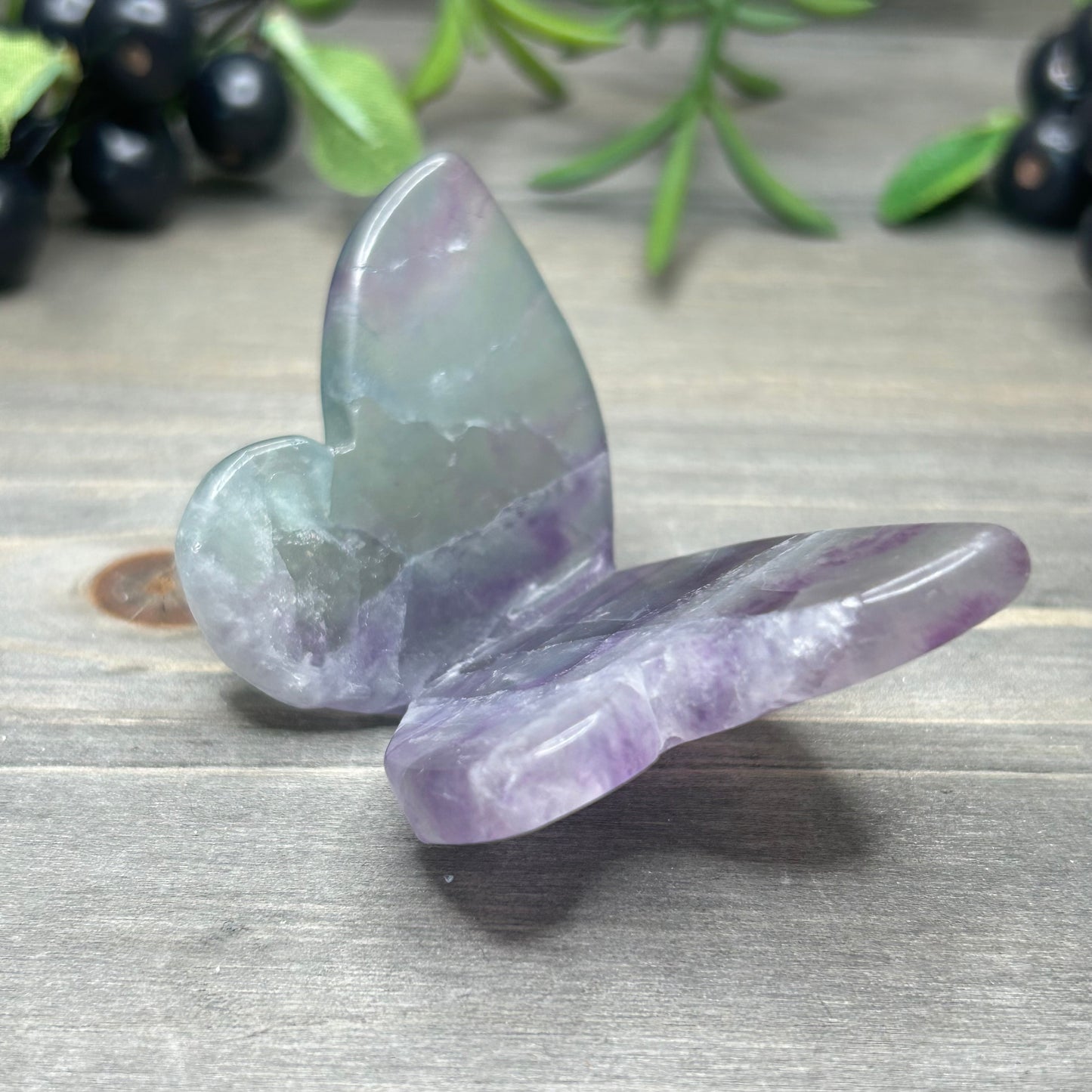 fluorite butterfly
