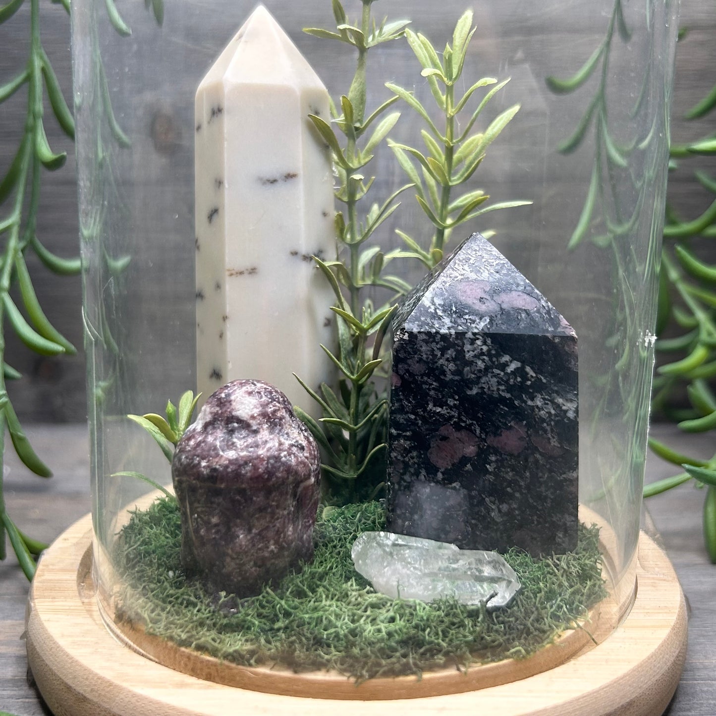 dendritic agate terrarium