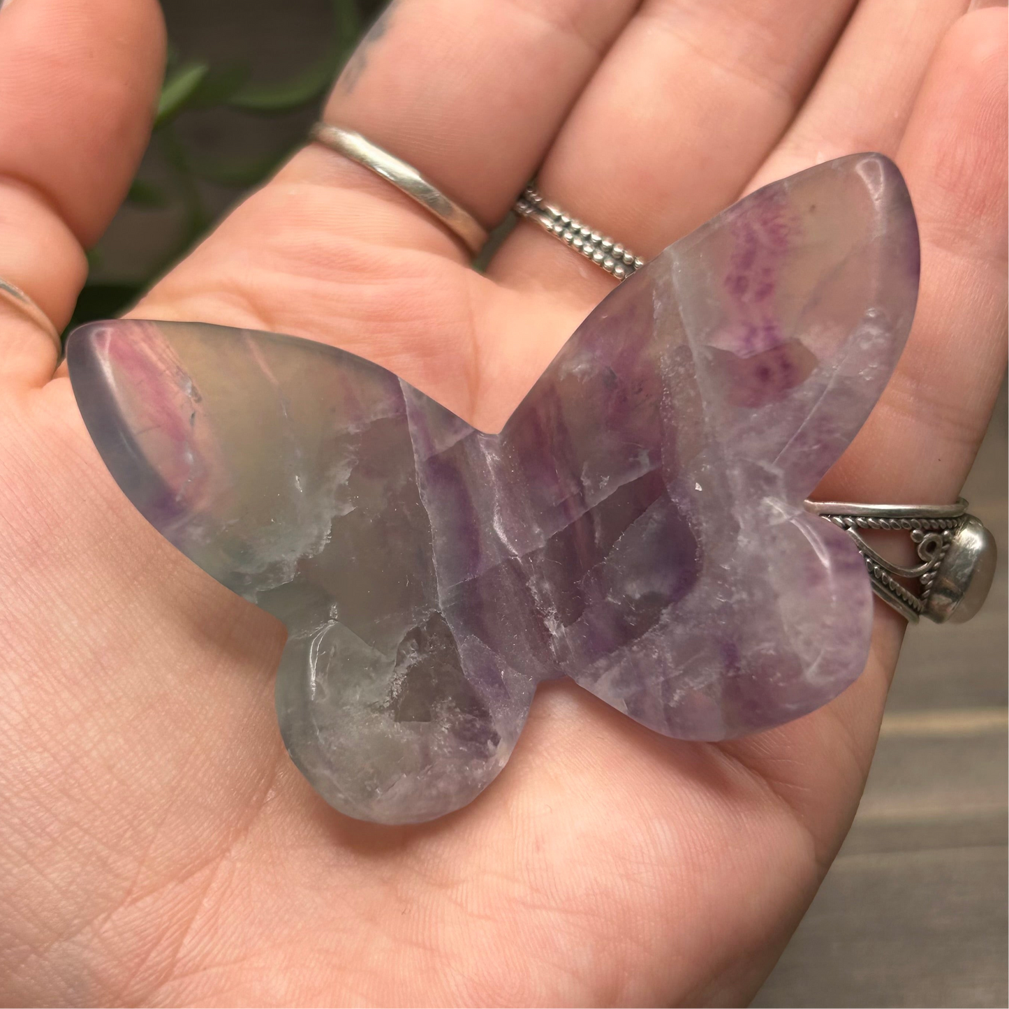 fluorite butterfly