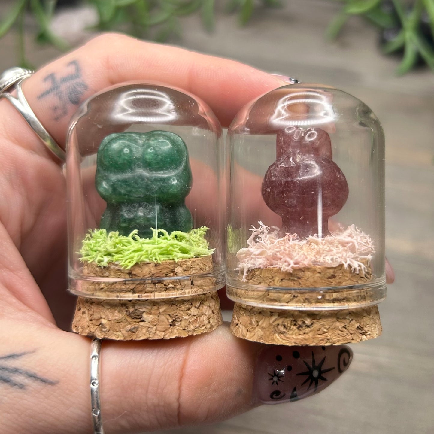 mini sanrio terrarium