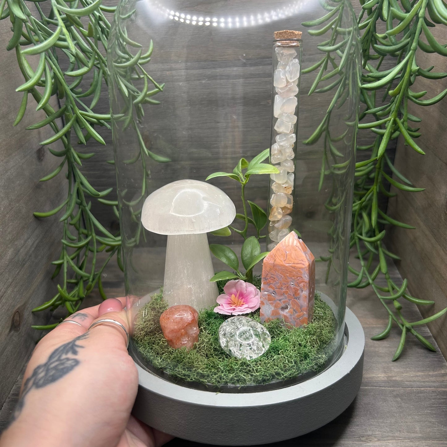 selenite mushroom terrarium