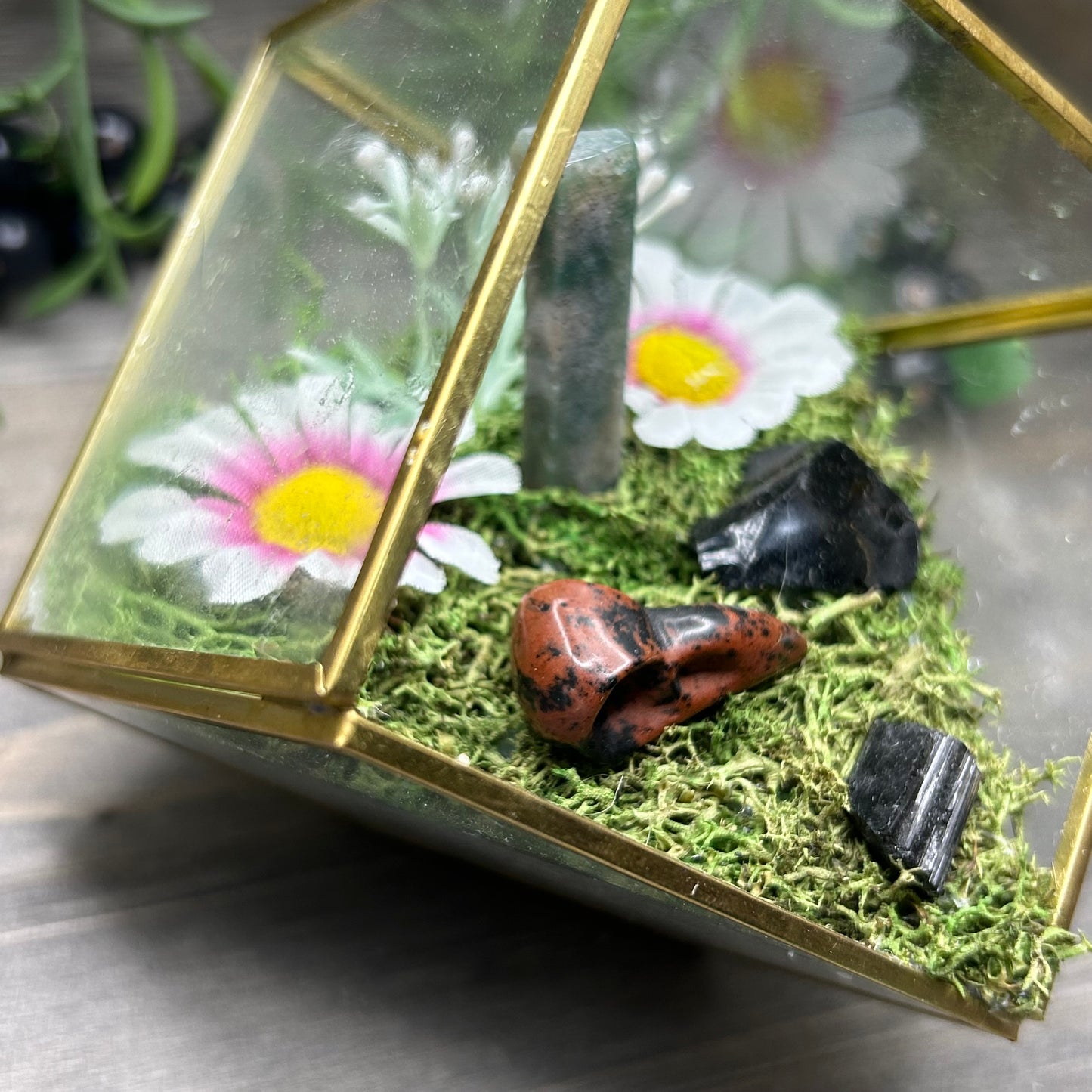 bird skull cube terrarium