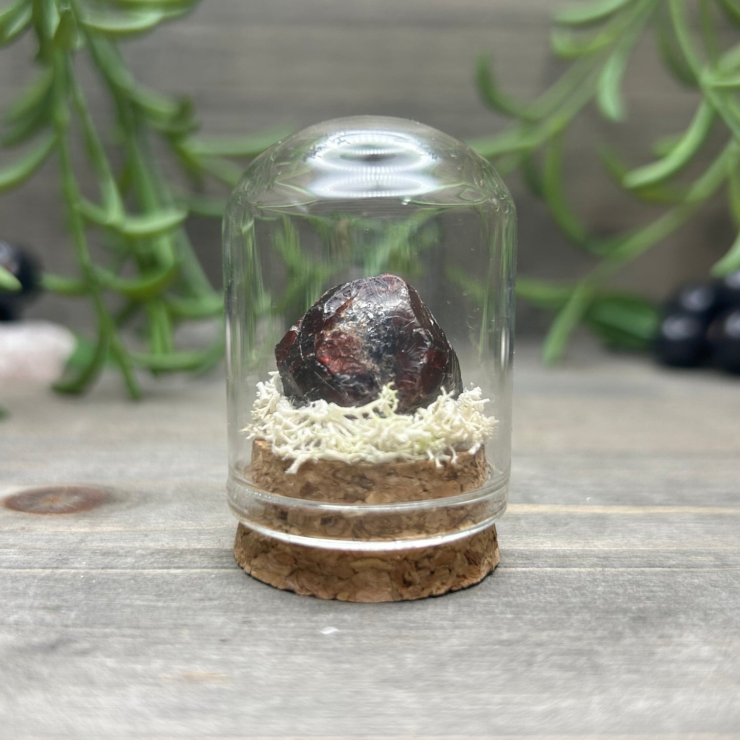 mini garnet terrarium