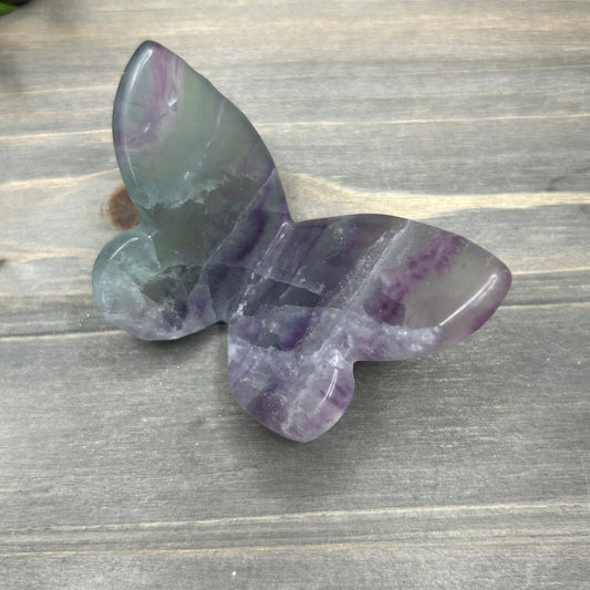 fluorite butterfly