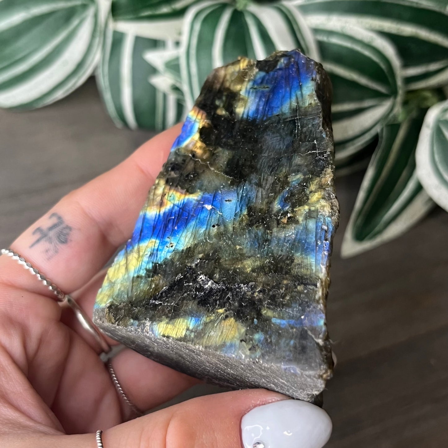 half polished labradorite freeform