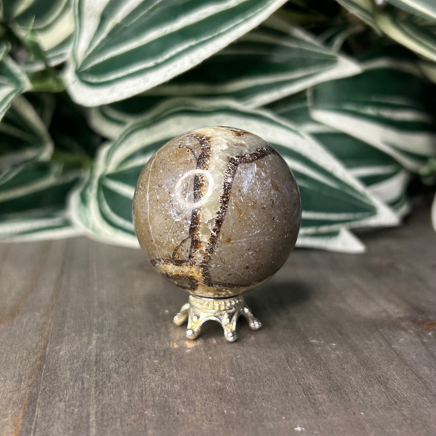 septarian sphere