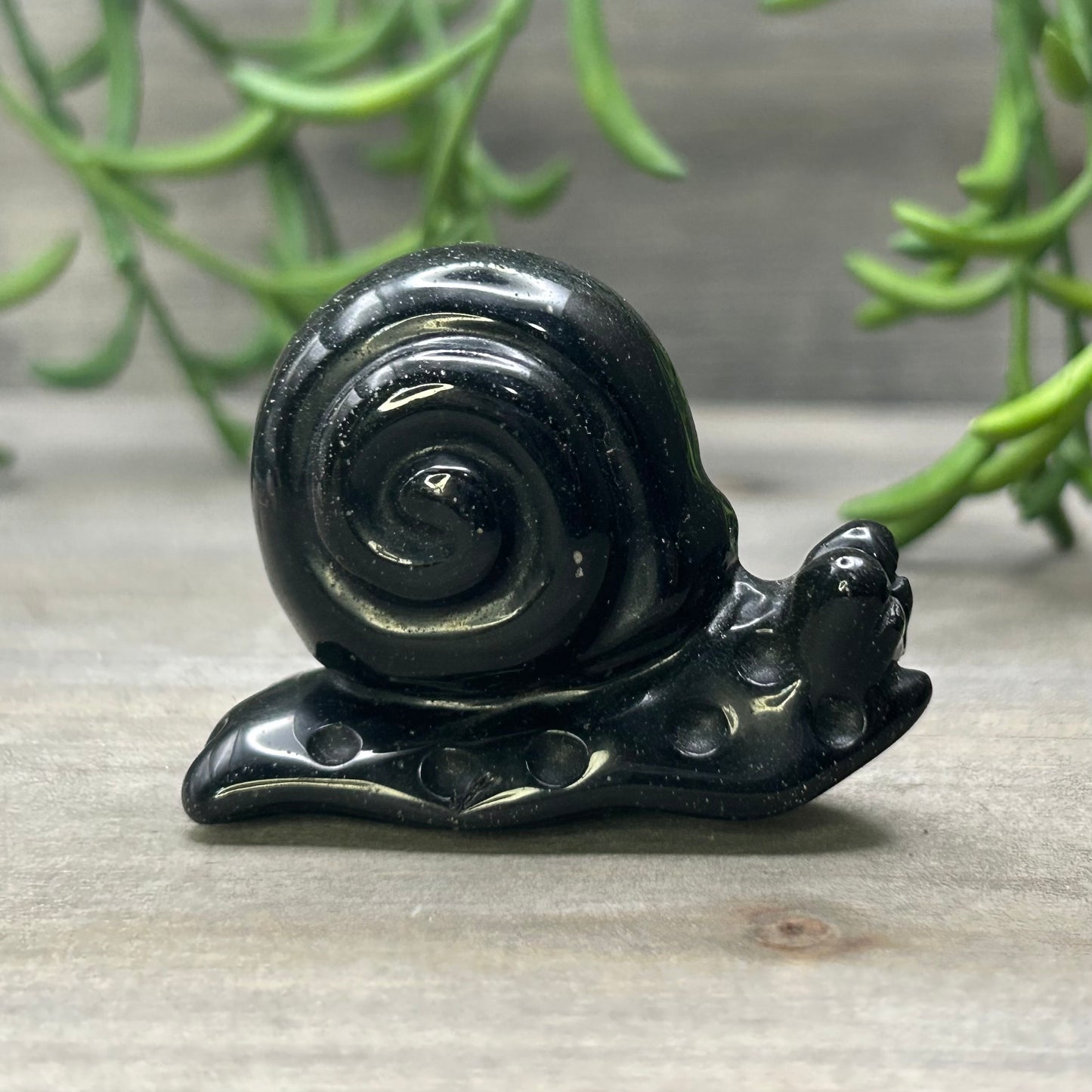 gold sheen obsidian snail