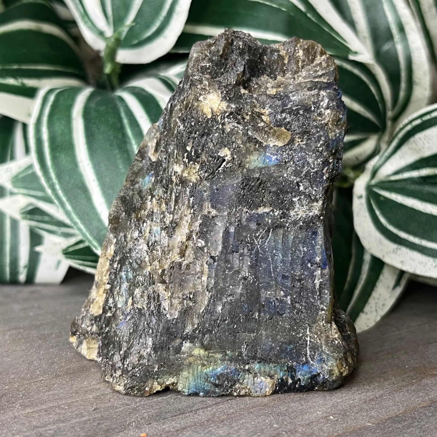 half polished labradorite freeform