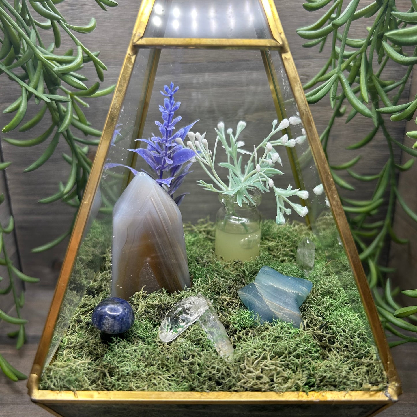 agate+blue onyx terrarium