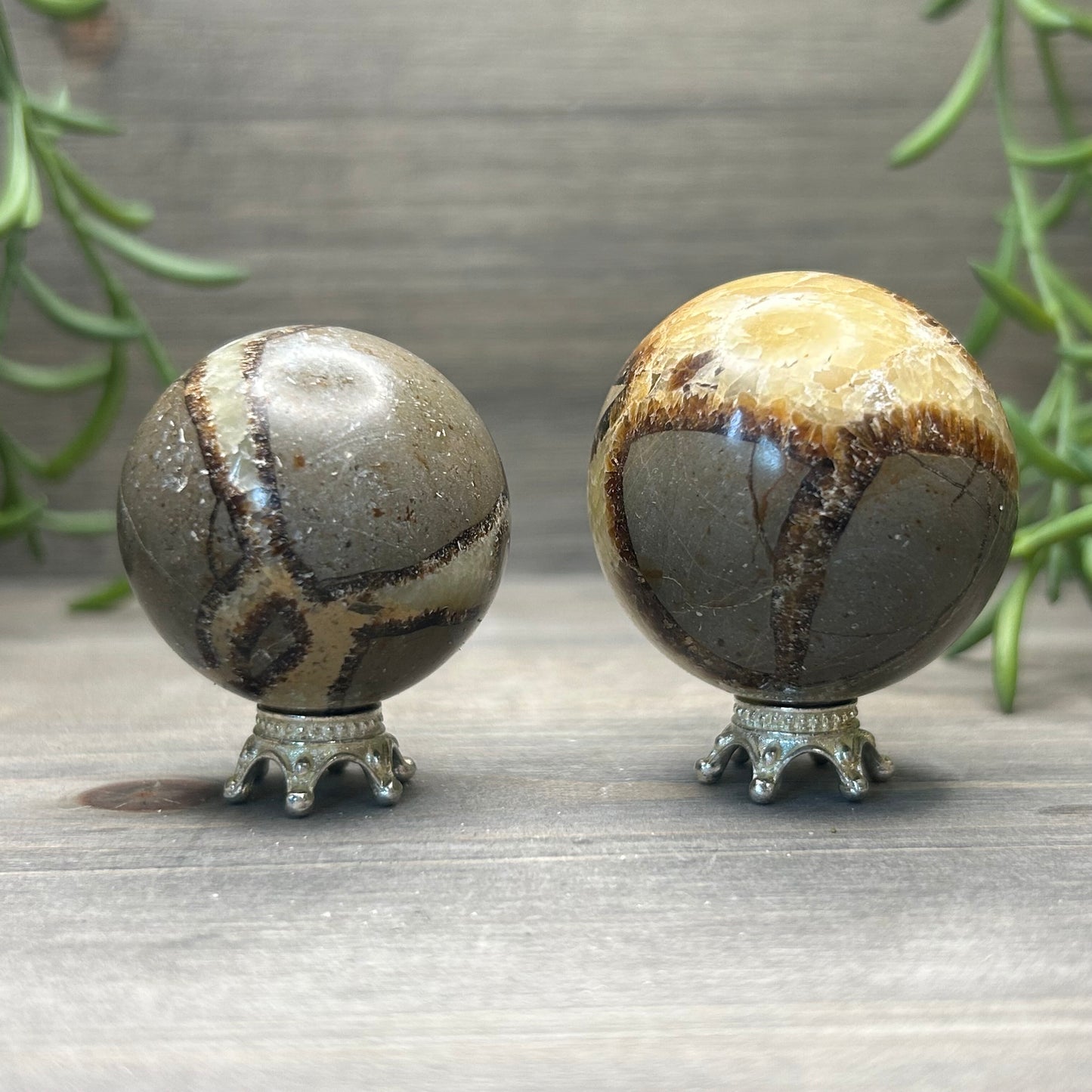 septarian sphere