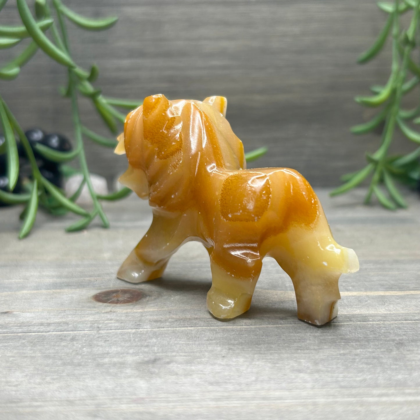 orange calcite lion