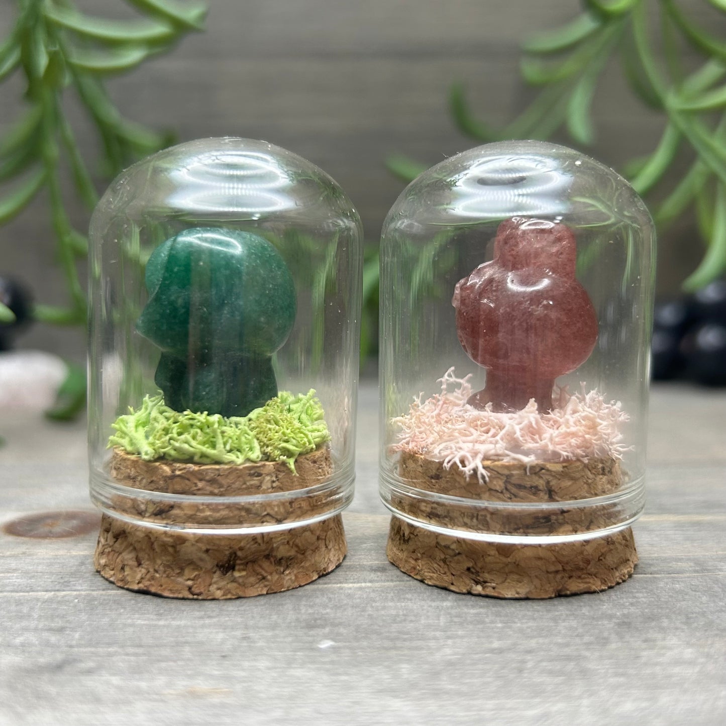 mini sanrio terrarium