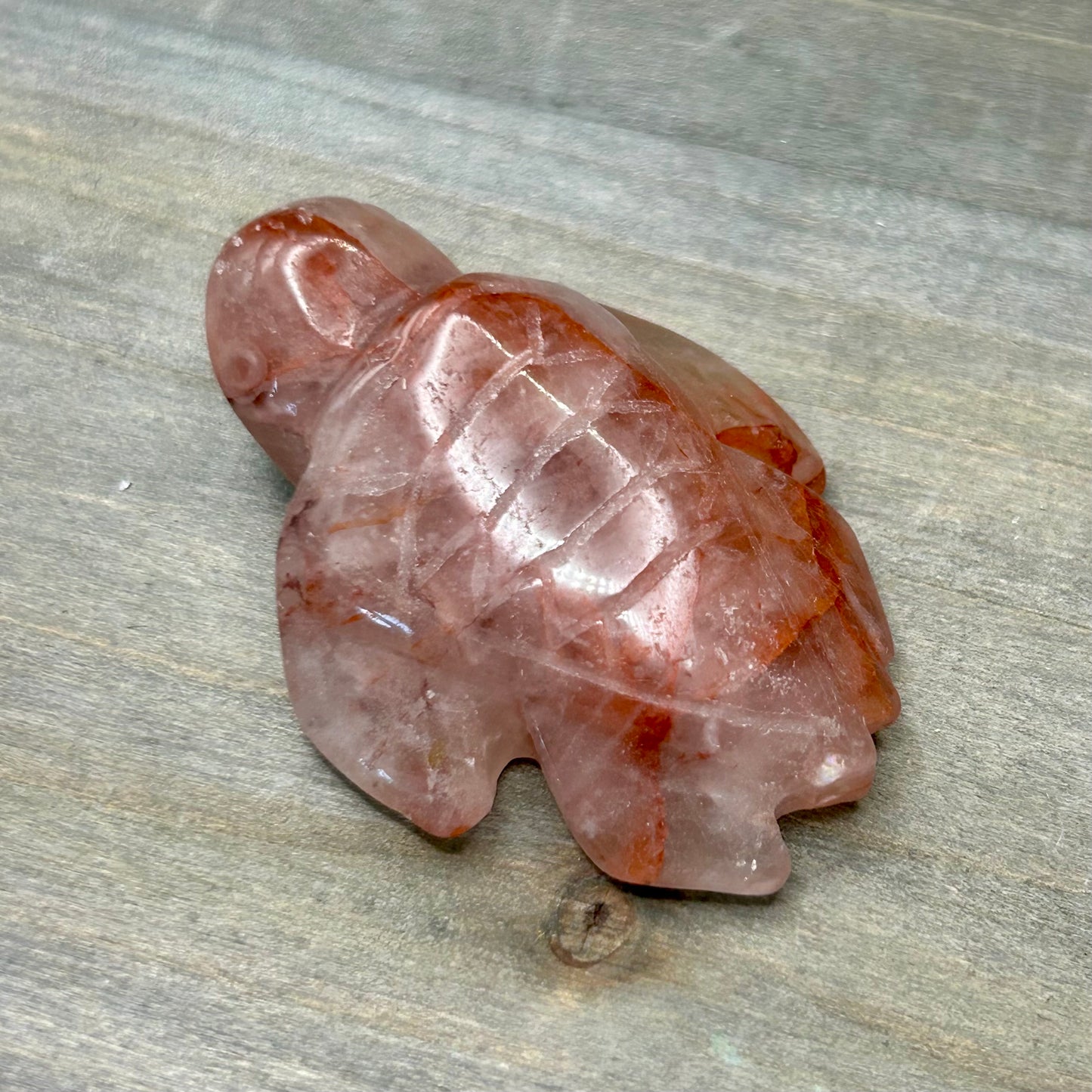 fire quartz turtle