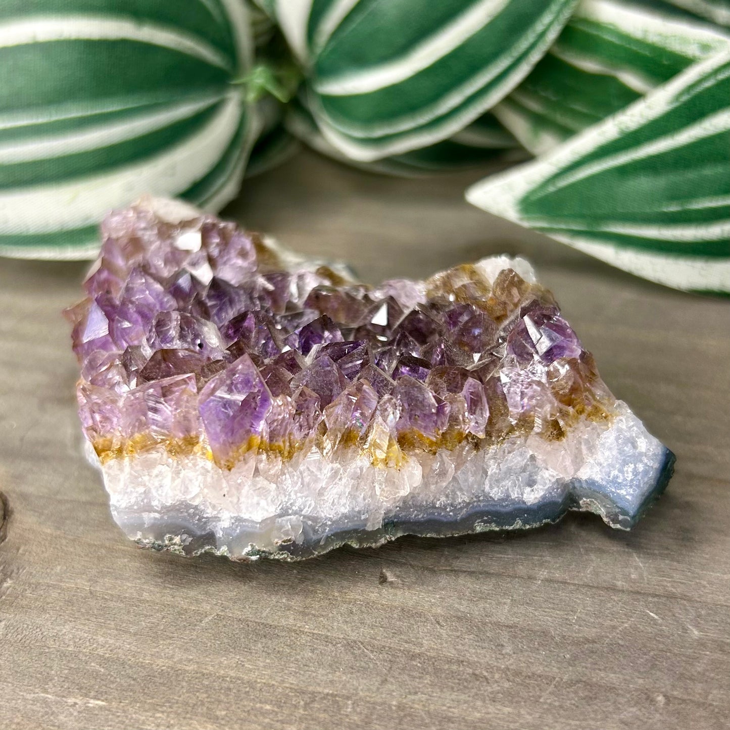 amethyst cluster