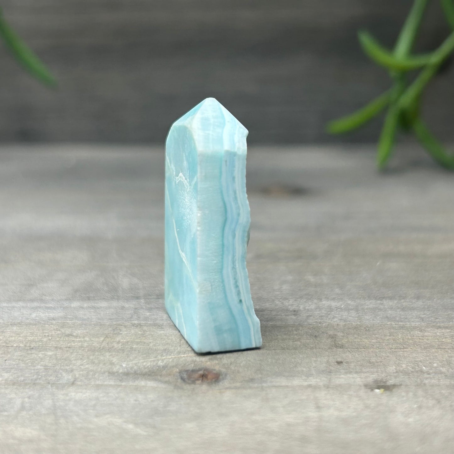 larimar tower