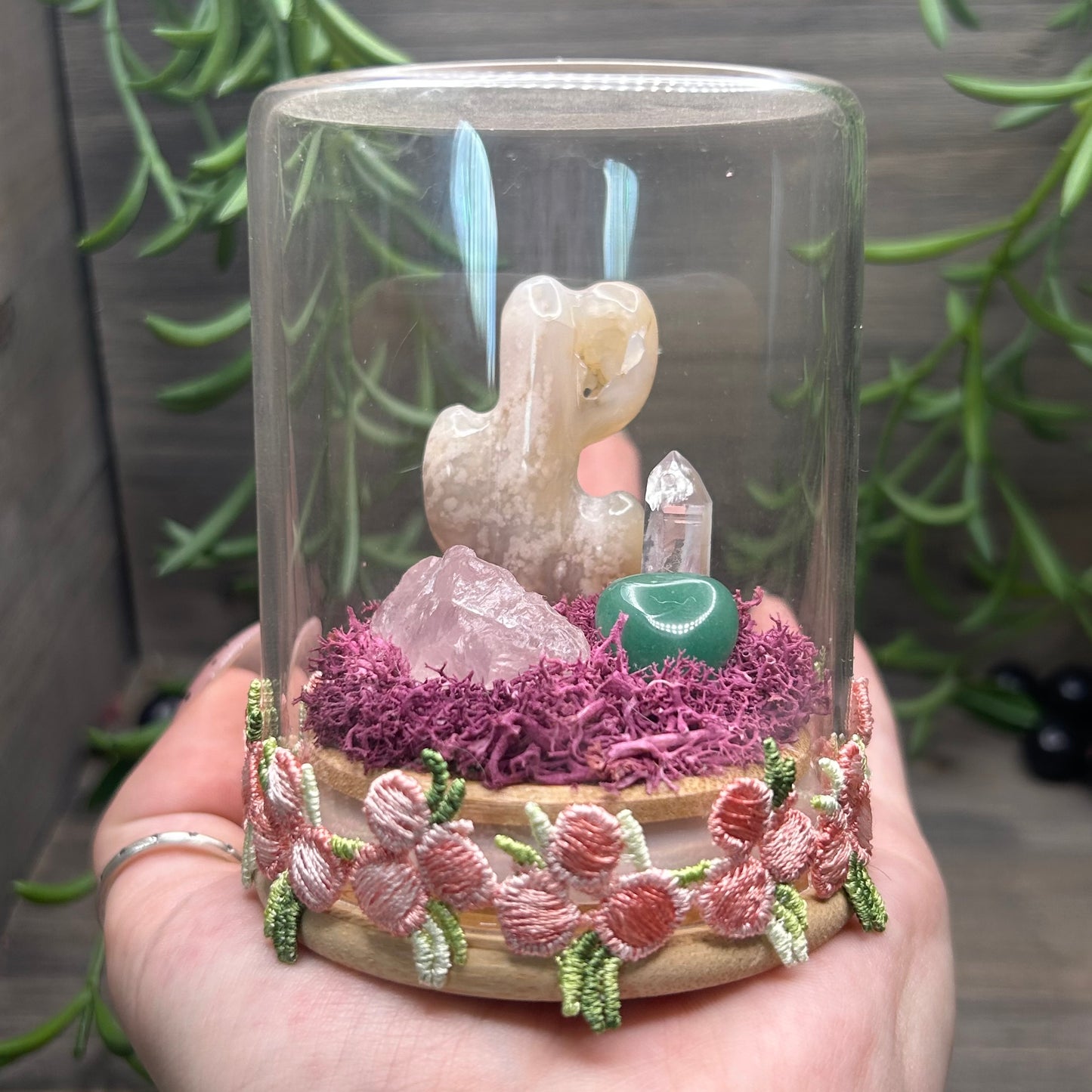 flower agate cactus terrarium