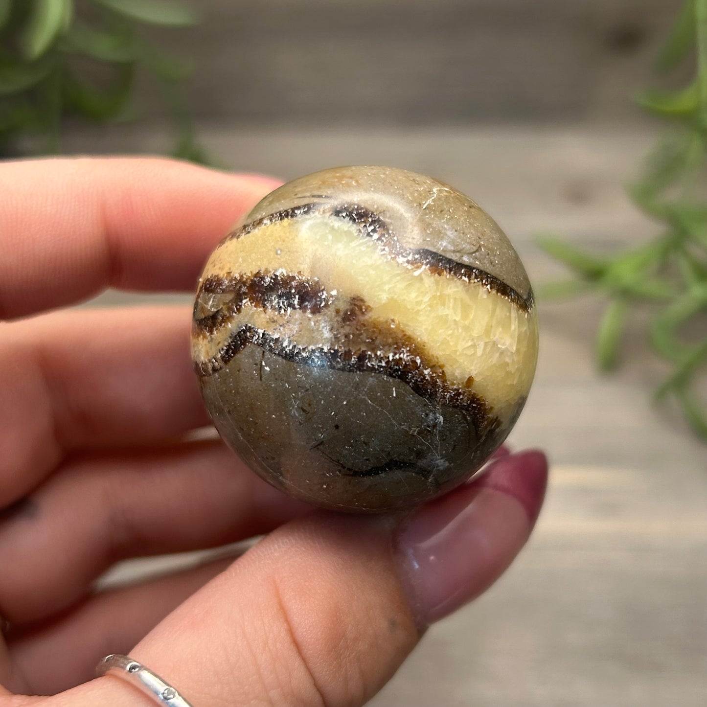 septarian sphere
