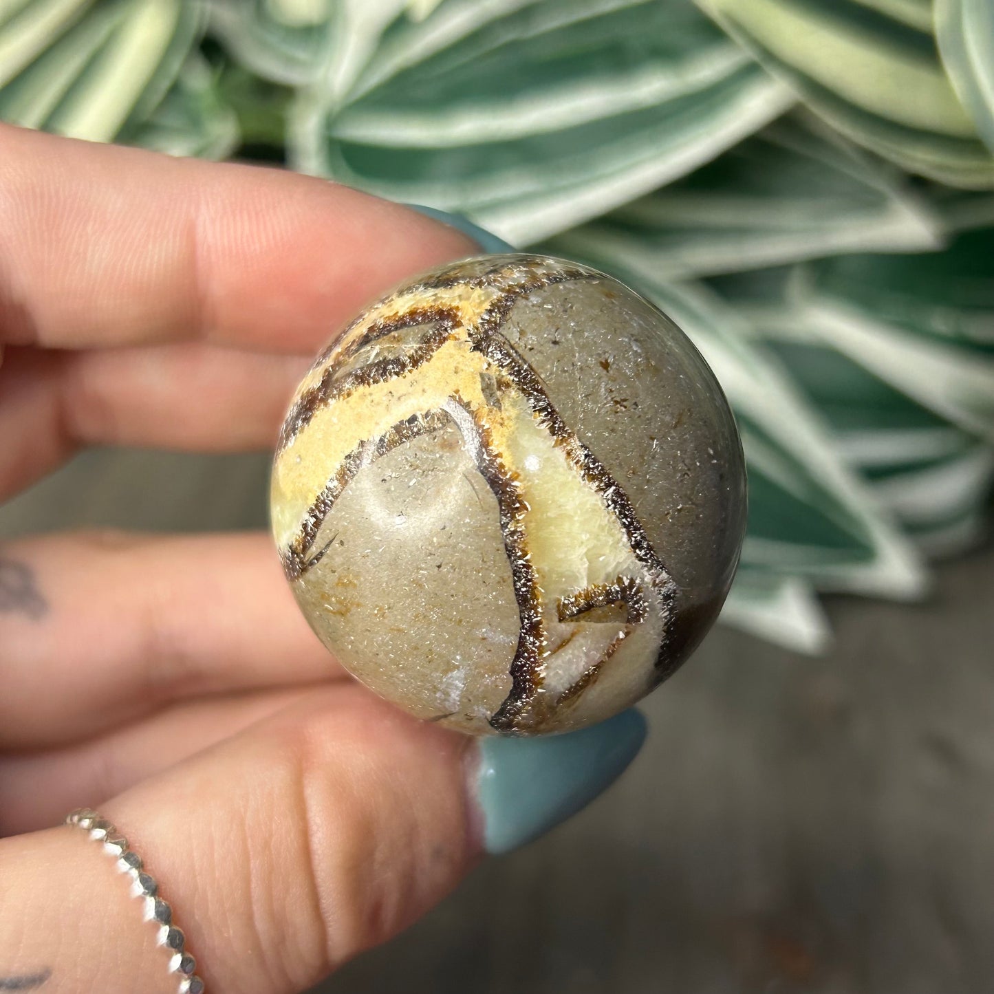 septarian sphere