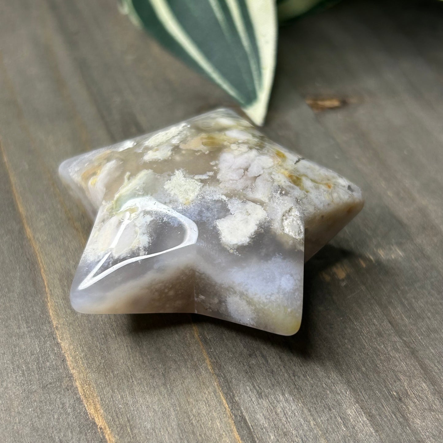 flower agate star