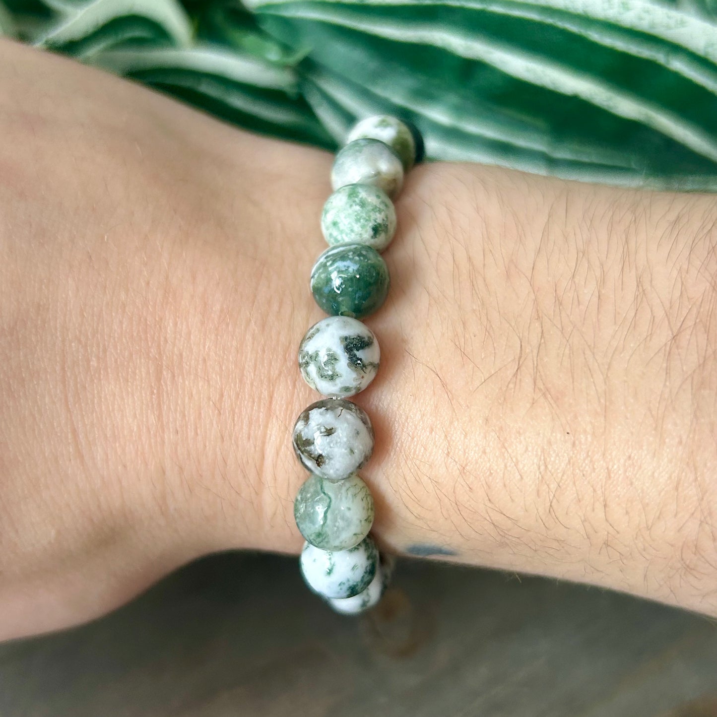 tree agate bracelet