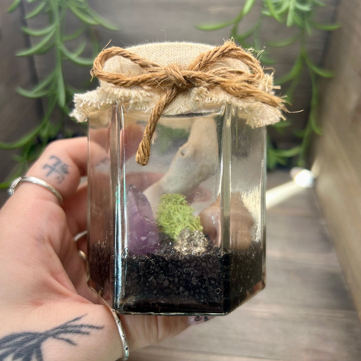 ocean themed terrarium