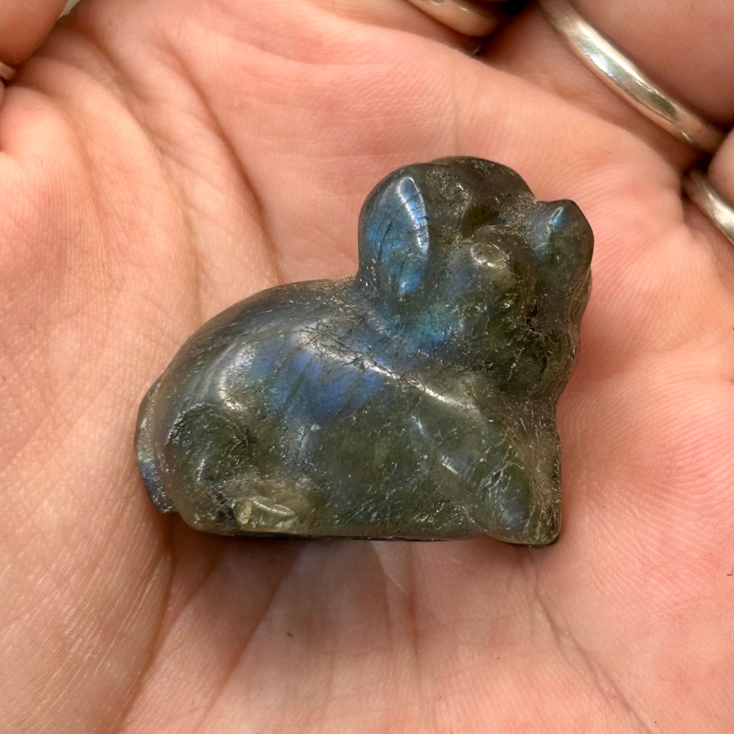 labradorite pig