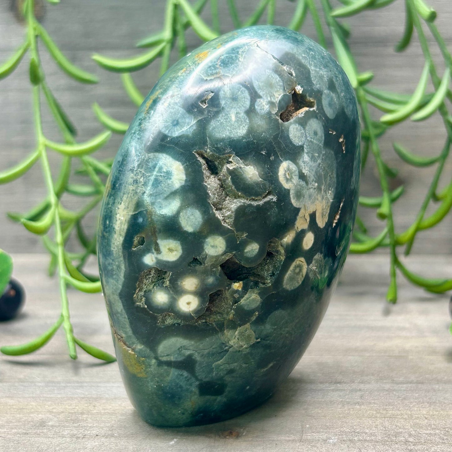 ocean jasper freeform