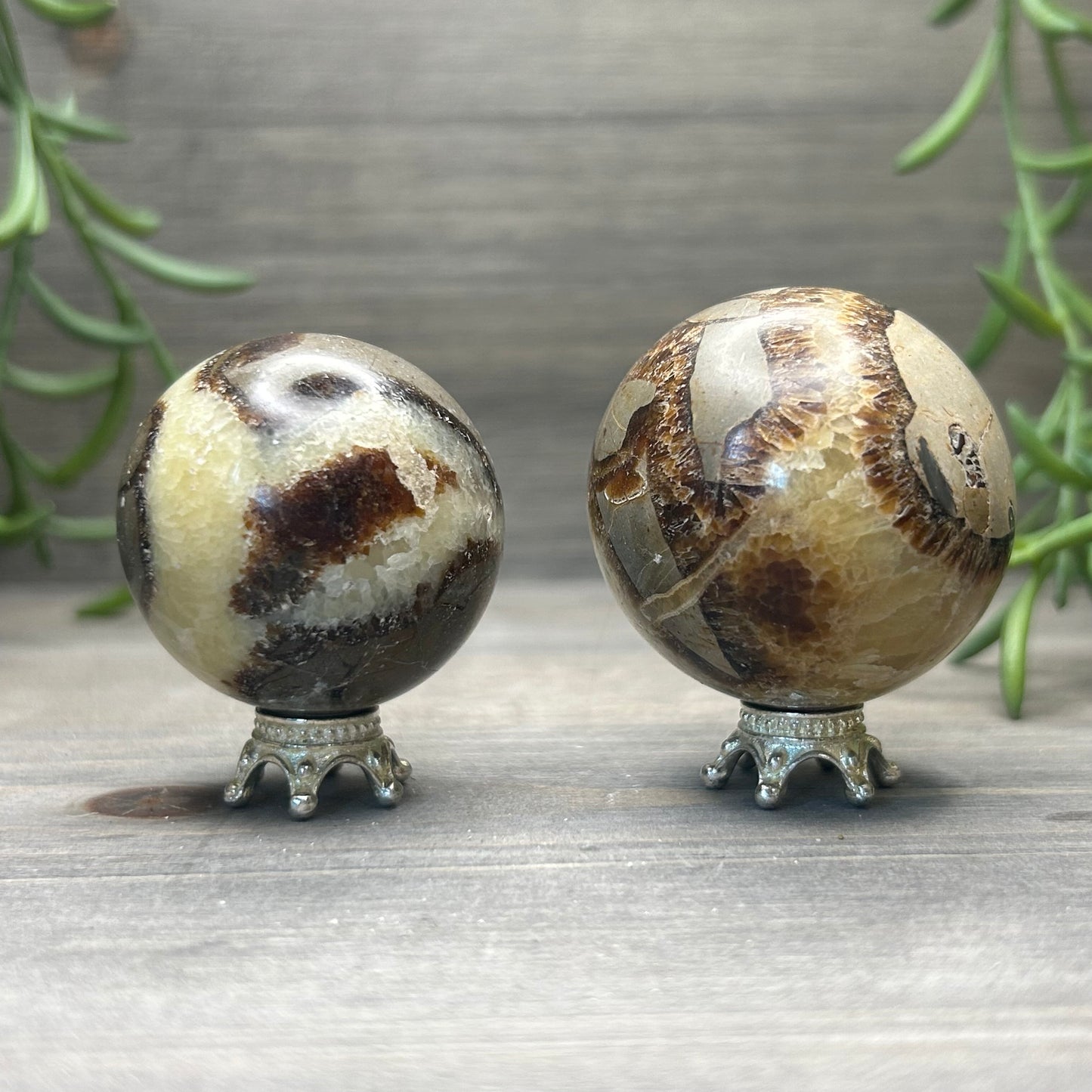 septarian sphere