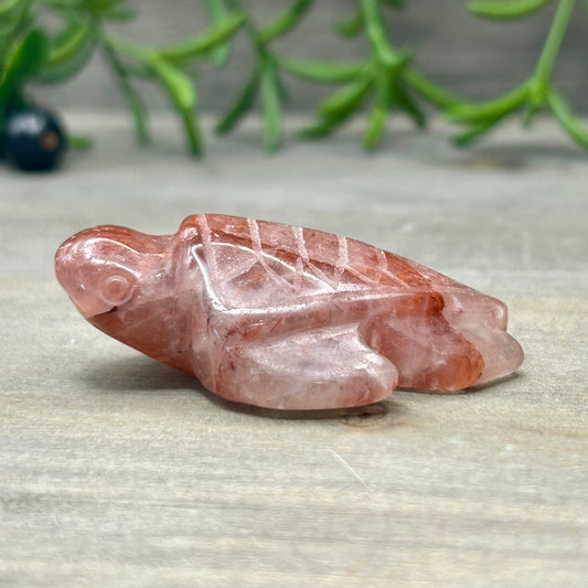 fire quartz turtle