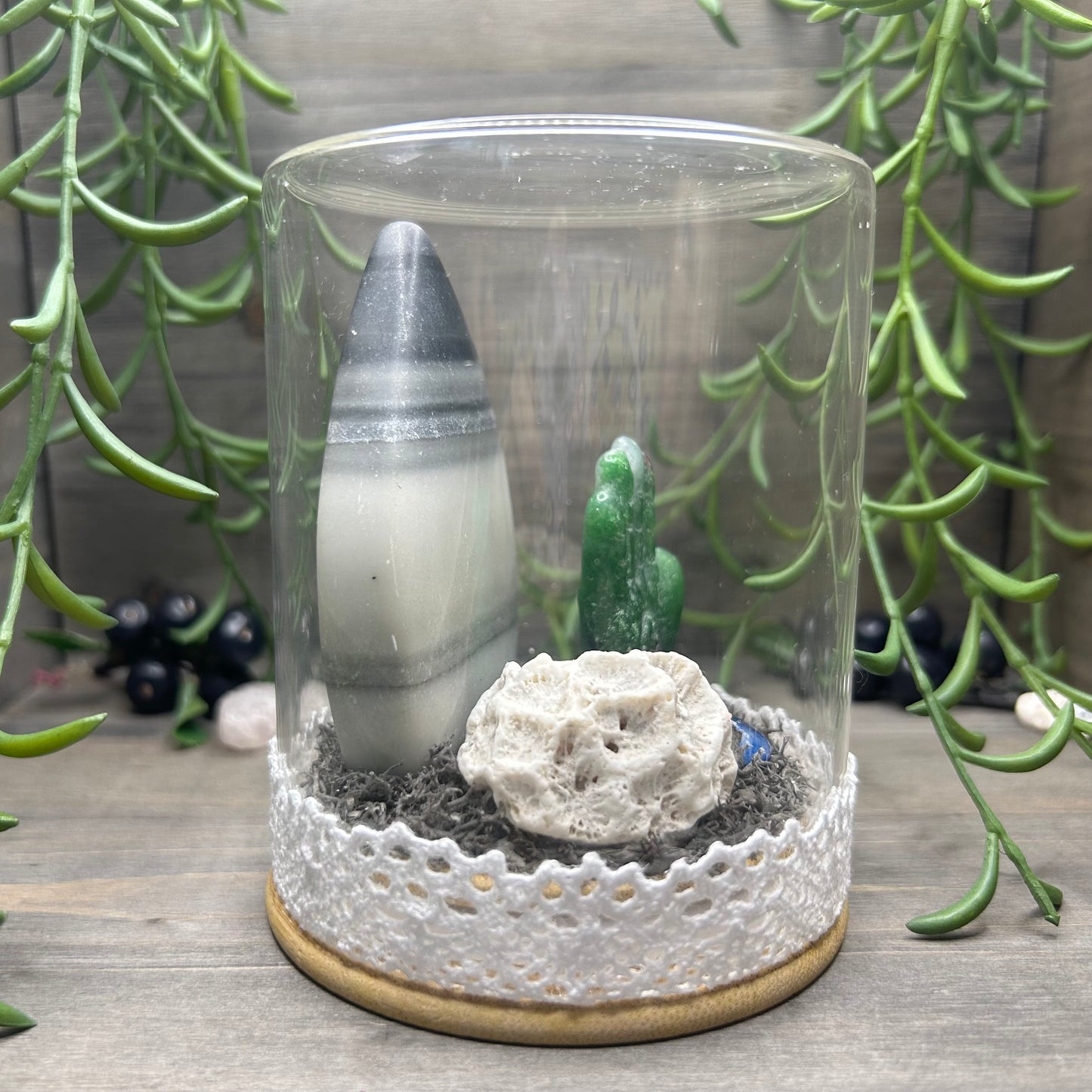 taiji terrarium