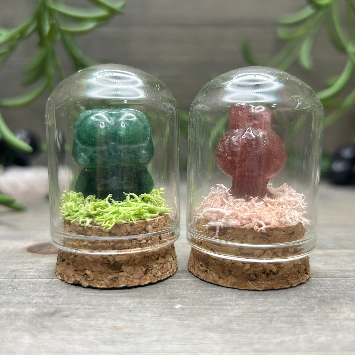 mini sanrio terrarium