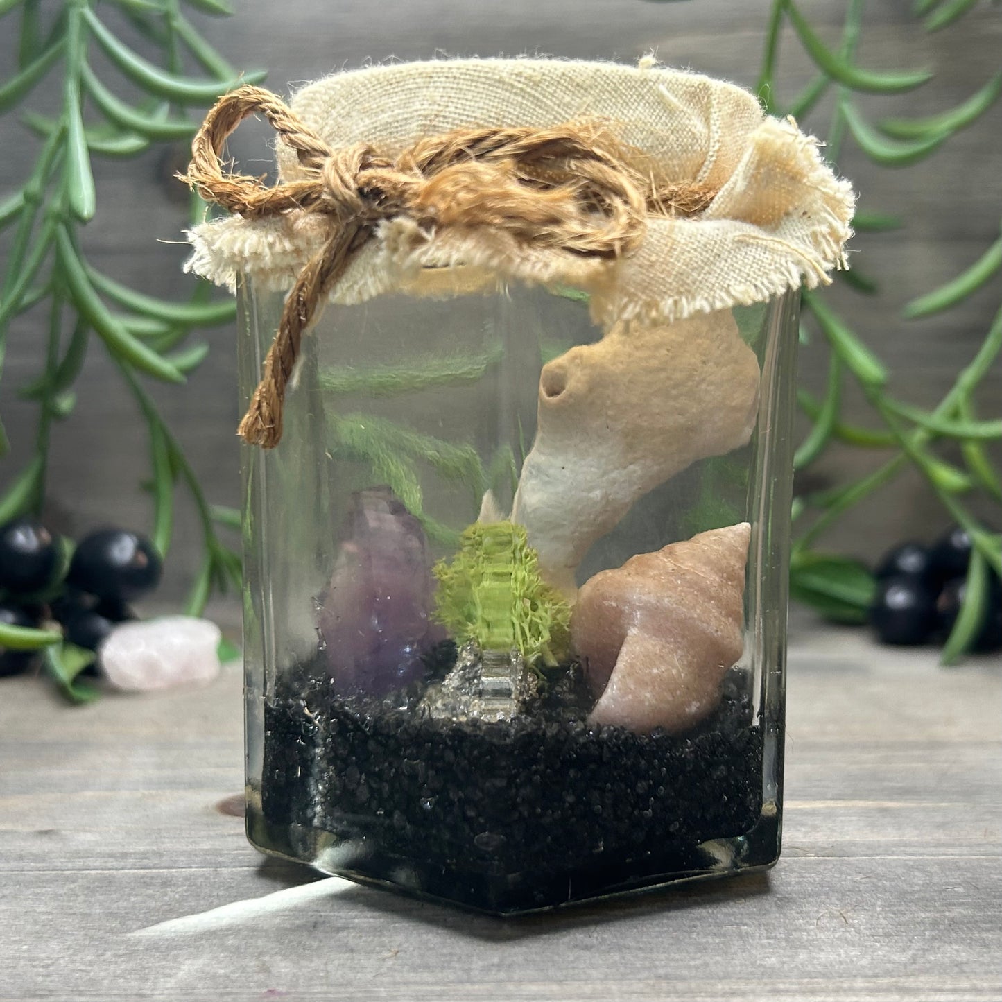 ocean themed terrarium