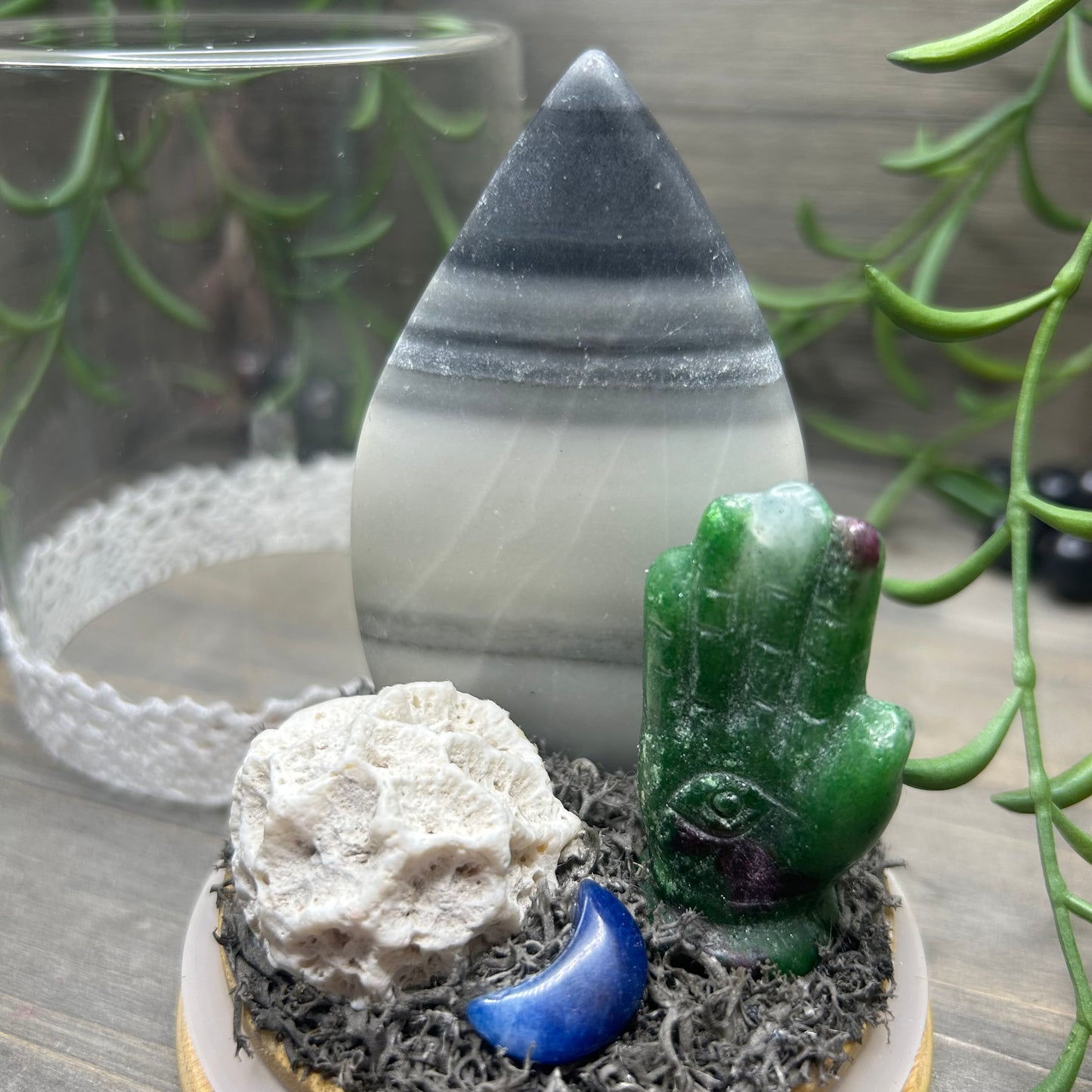 taiji terrarium