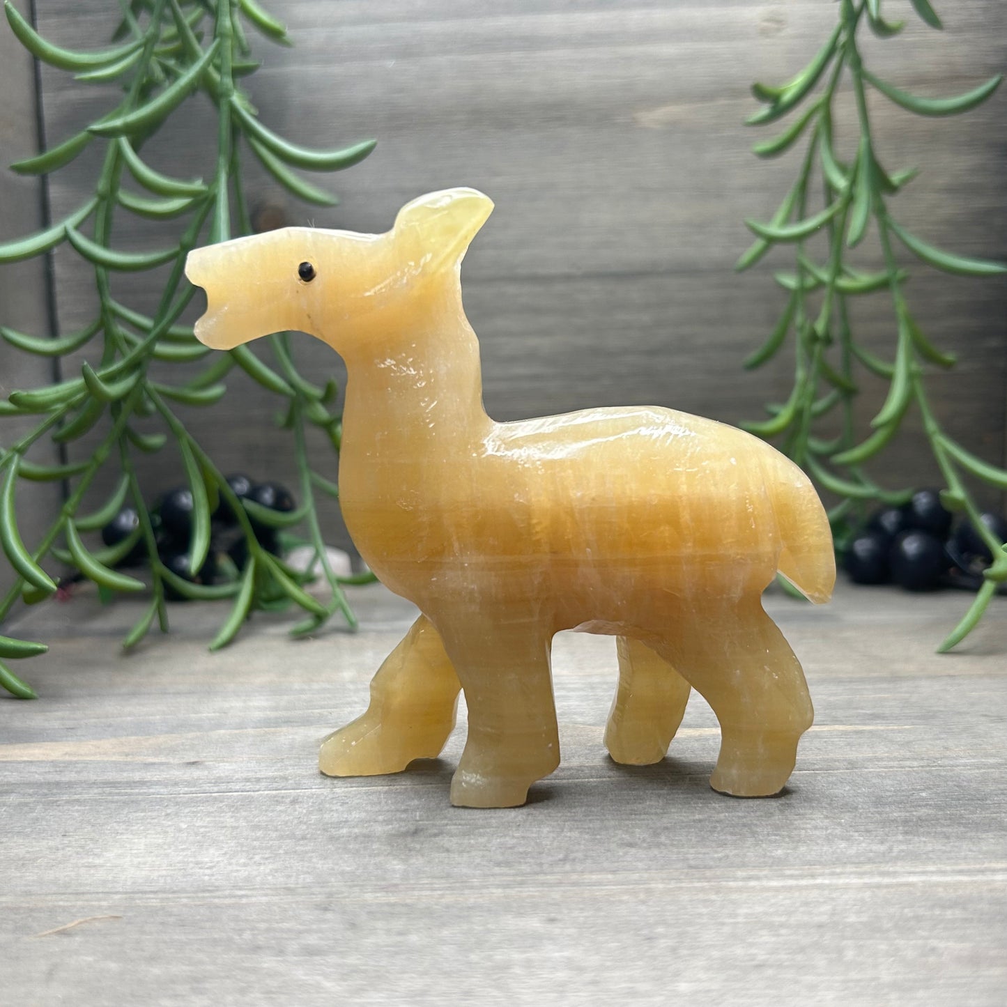 orange calcite llama