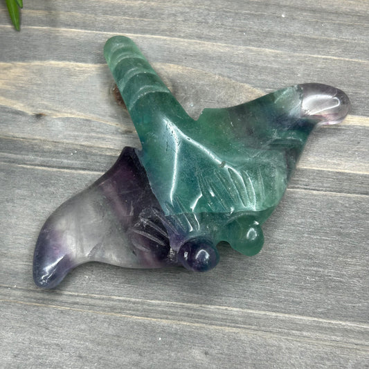 fluorite manta ray