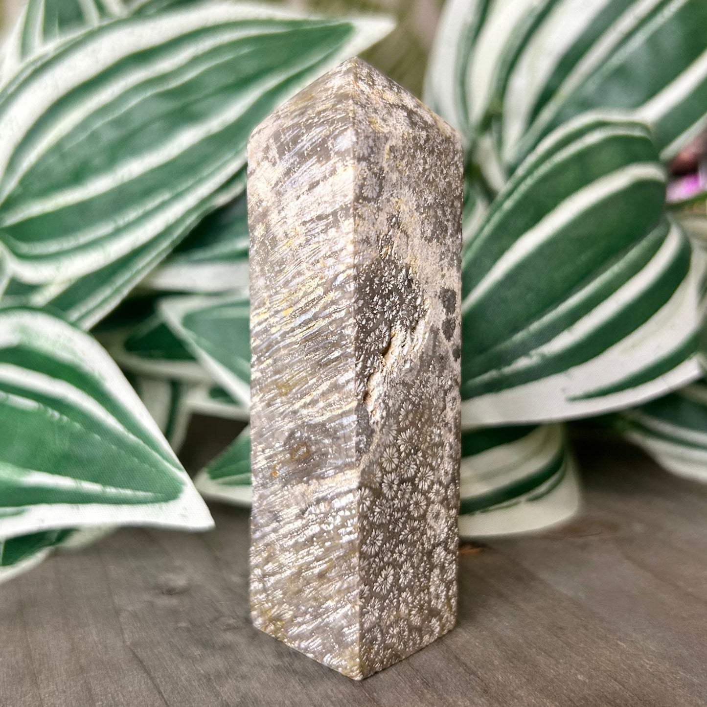 fossilized coral tower