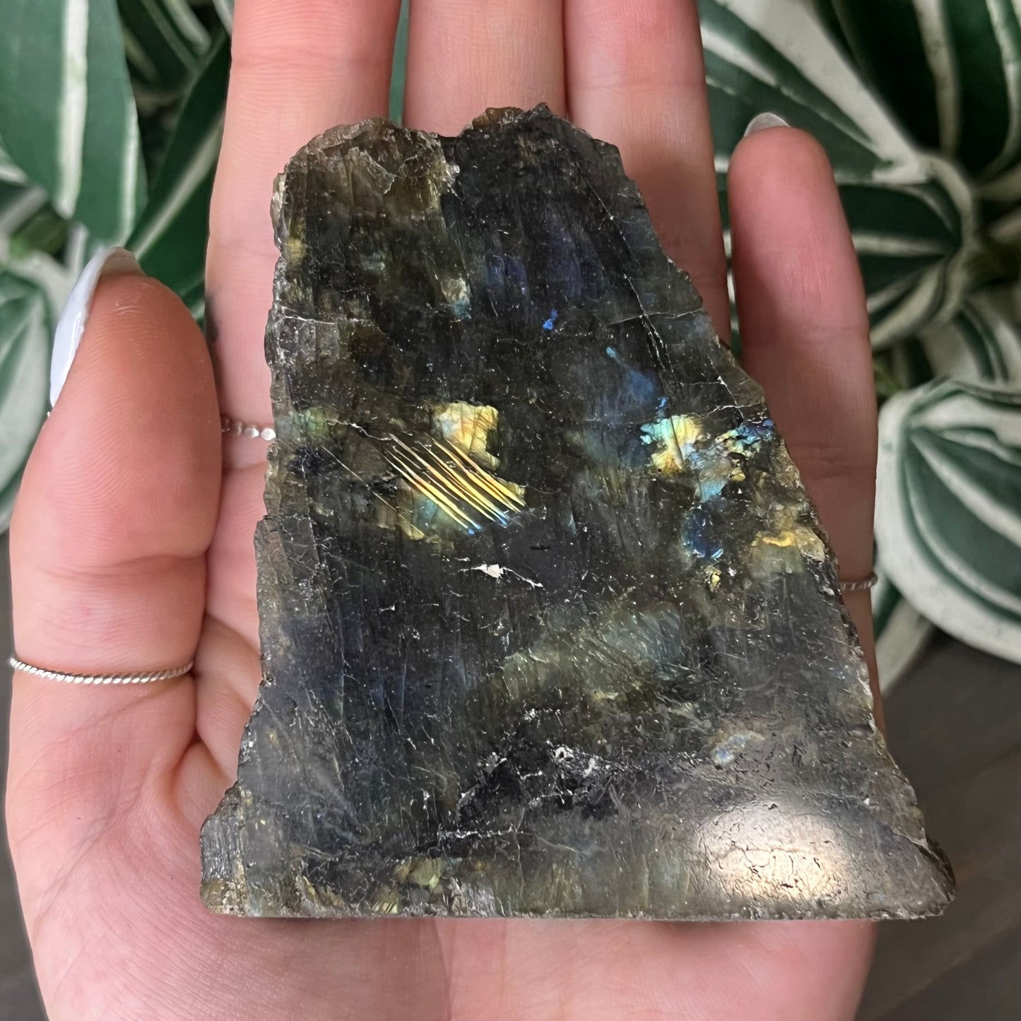 half polished labradorite freeform