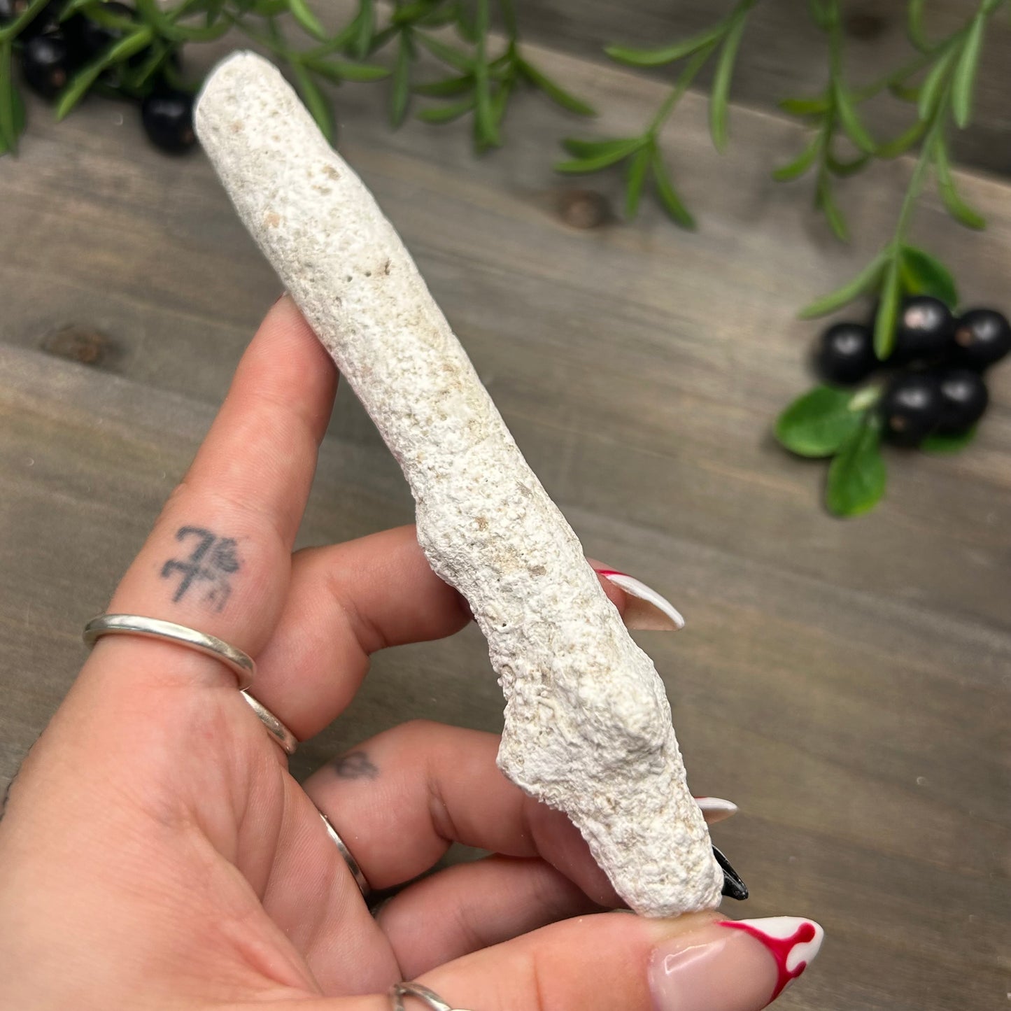 fossilized coral wand