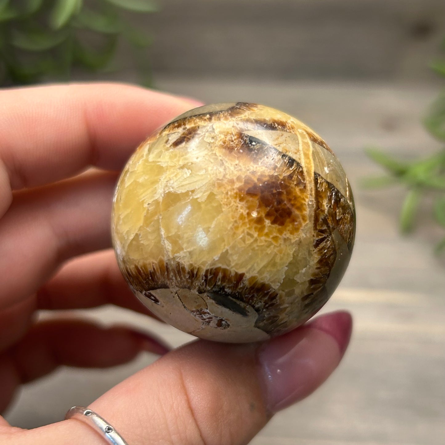 septarian sphere