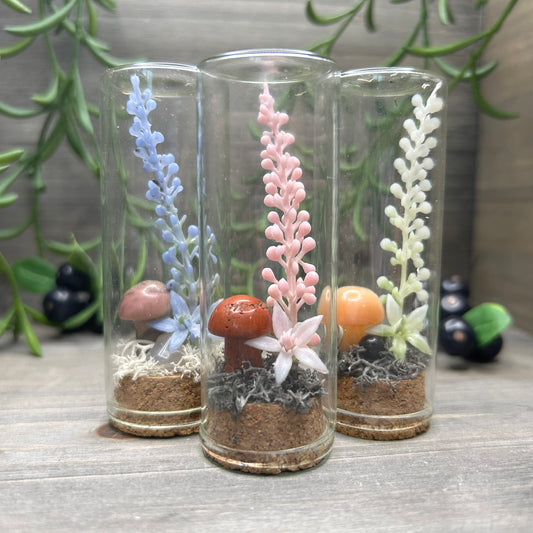 crystal mushroom terrarium