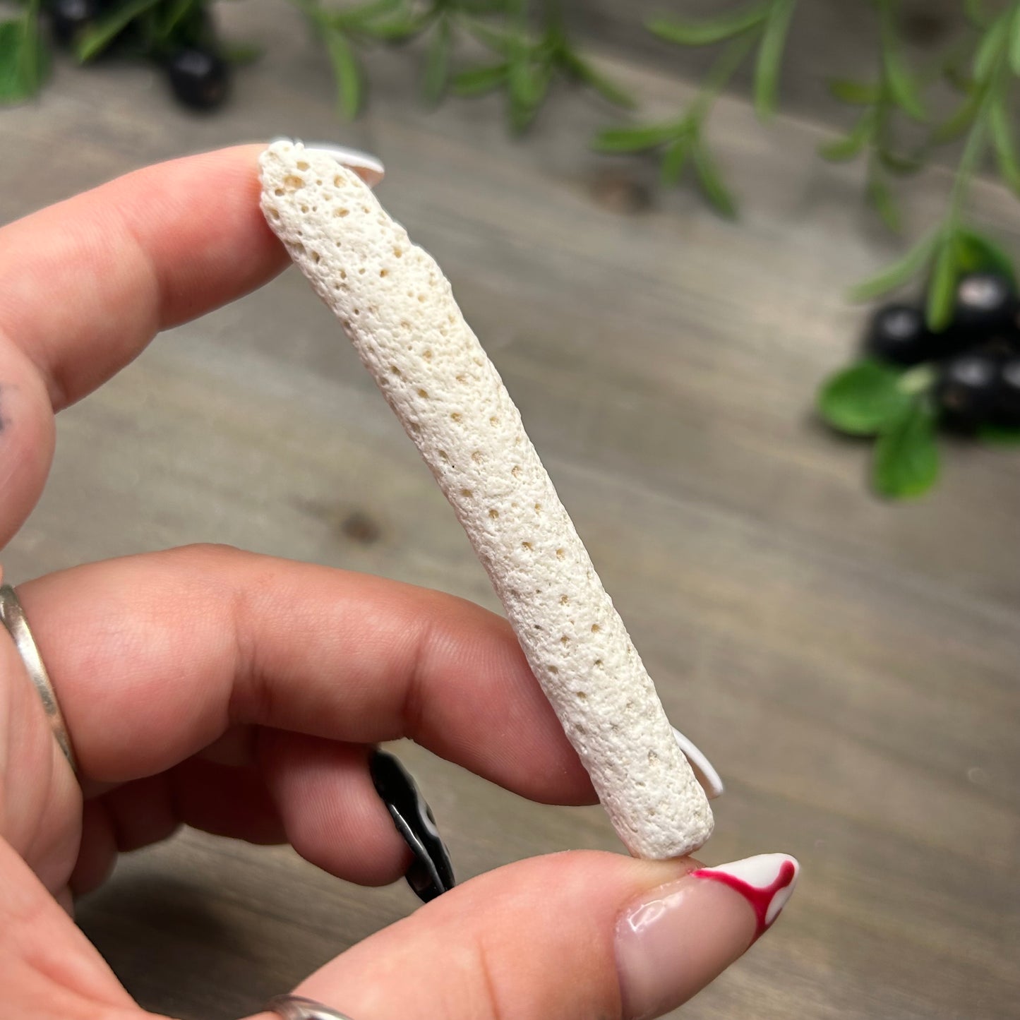 fossilized coral wand