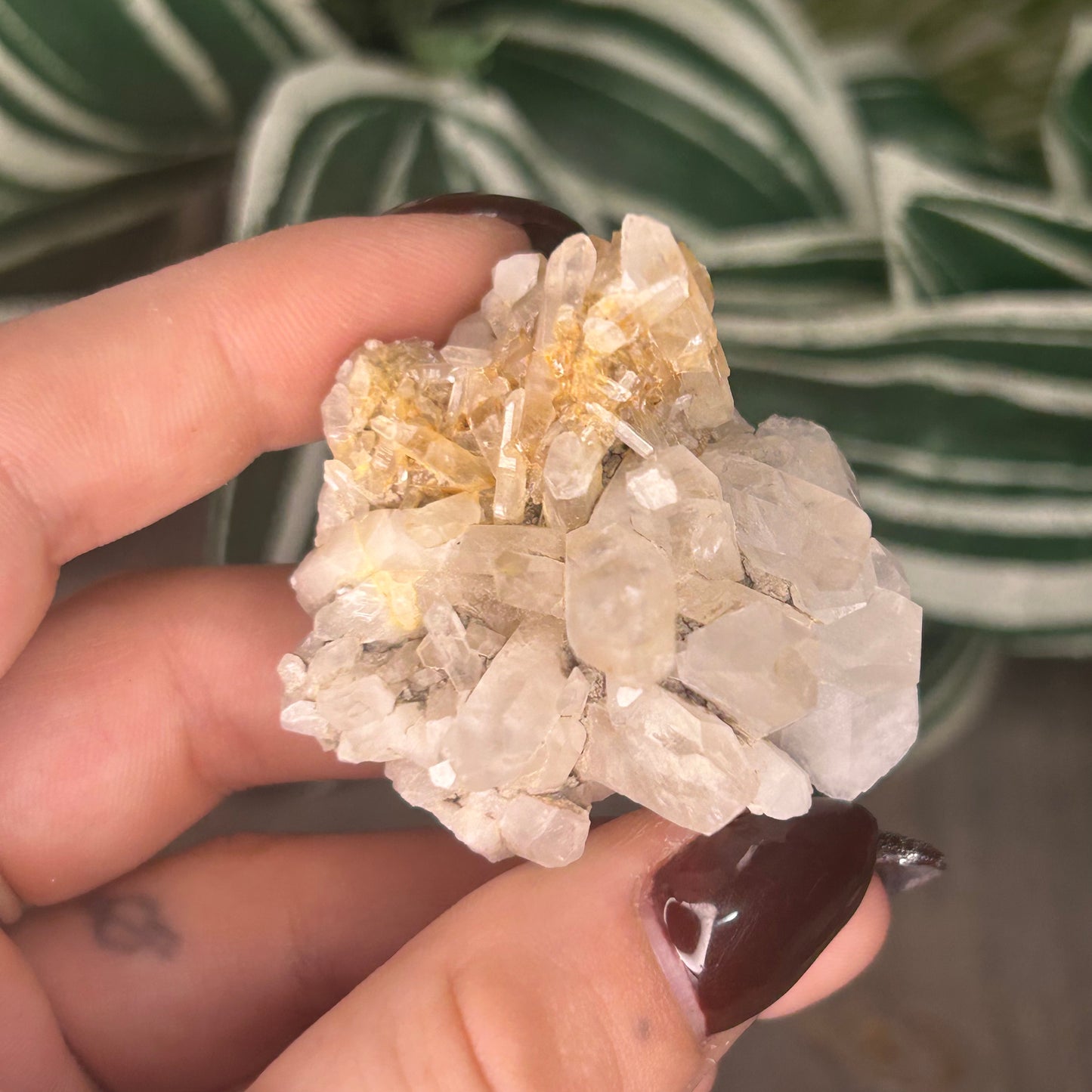 himalayan quartz cluster