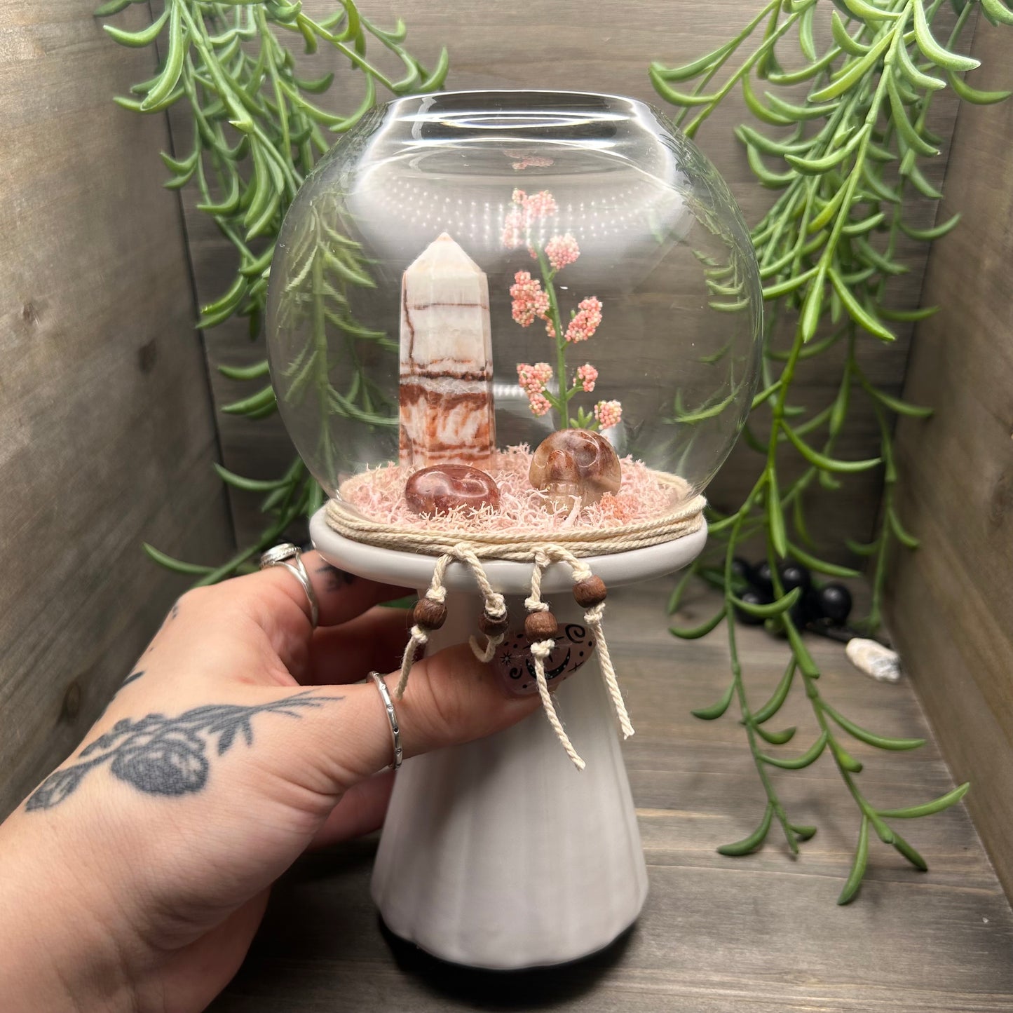 porkstone terrarium